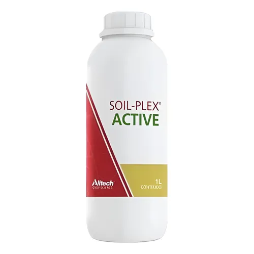Active