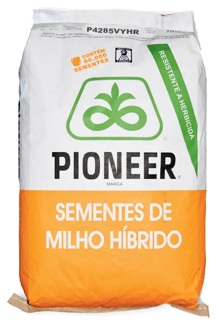 Sementes de milho híbrido